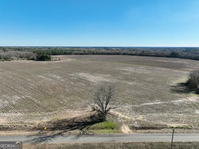 $1,032,000 | 0 Jenkins Farm Road, Byromville, GA 31007