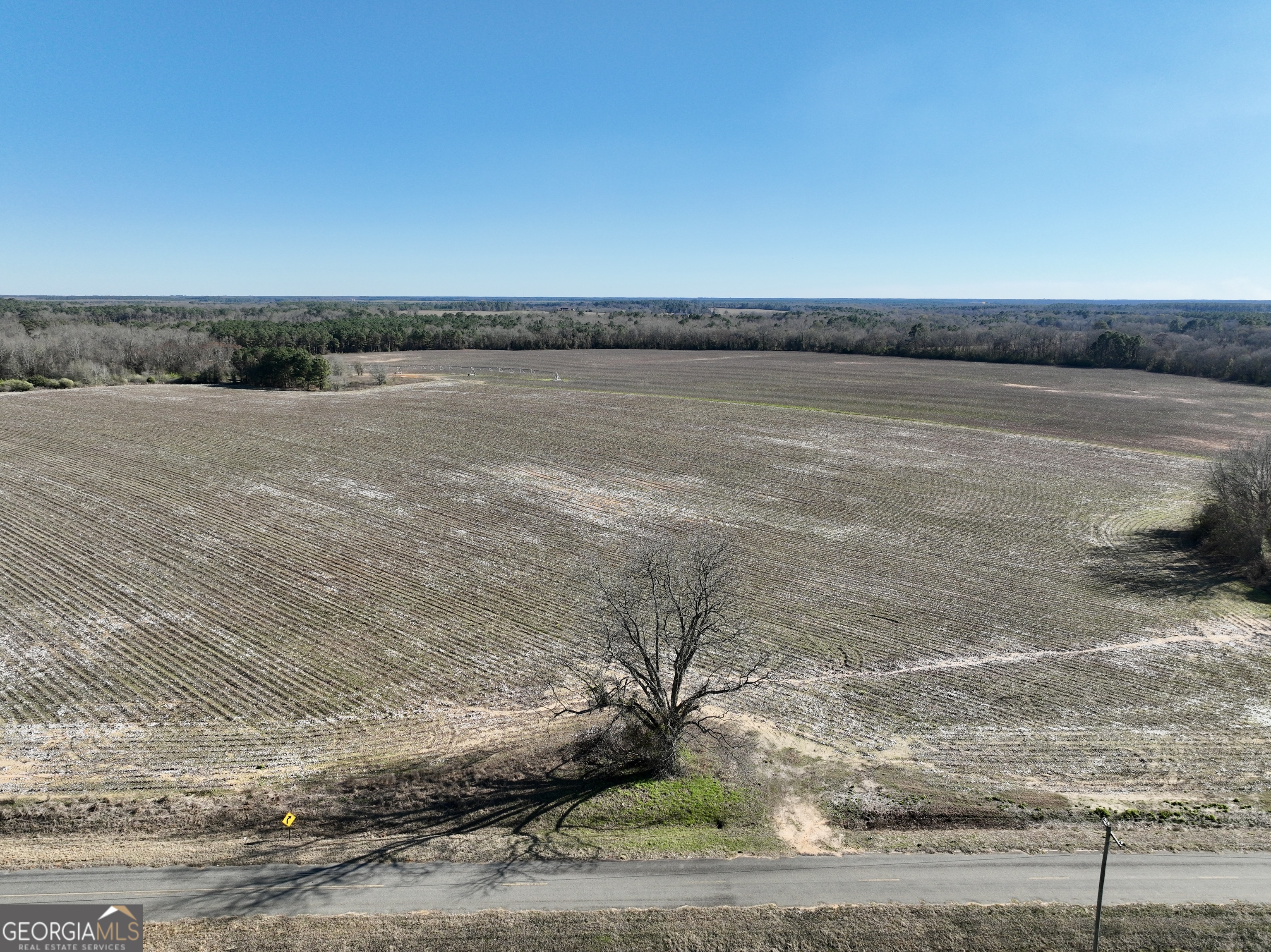 0 Jenkins Farm Road Byromville, GA 31007 - Photo 45 of 66