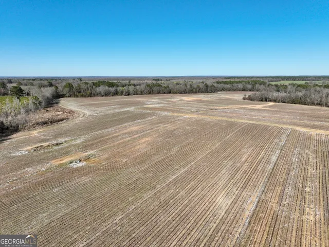 $1,032,000 | 0 Jenkins Farm Road, Byromville, GA 31007