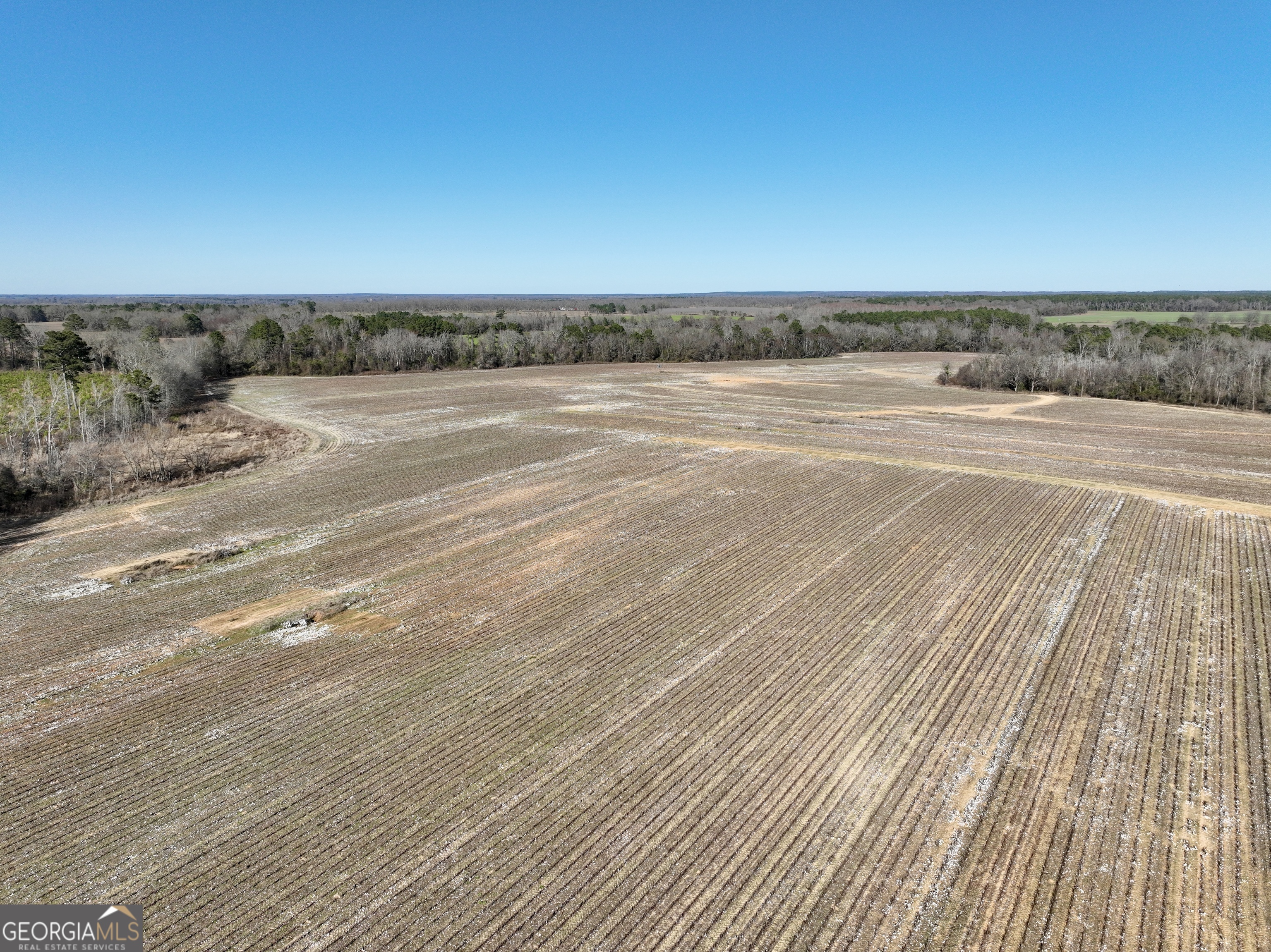 0 Jenkins Farm Road Byromville, GA 31007 - Photo 46 of 66