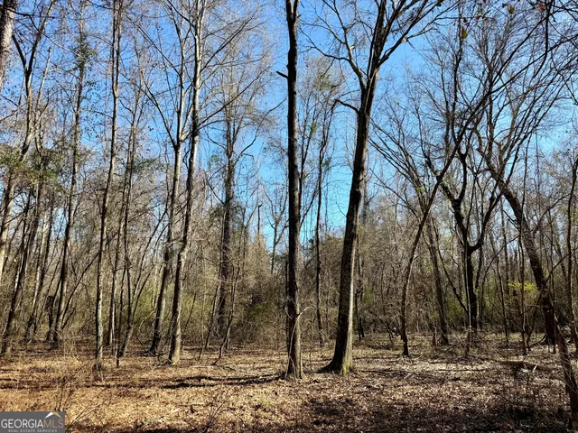 $1,032,000 | 0 Jenkins Farm Road, Byromville, GA 31007