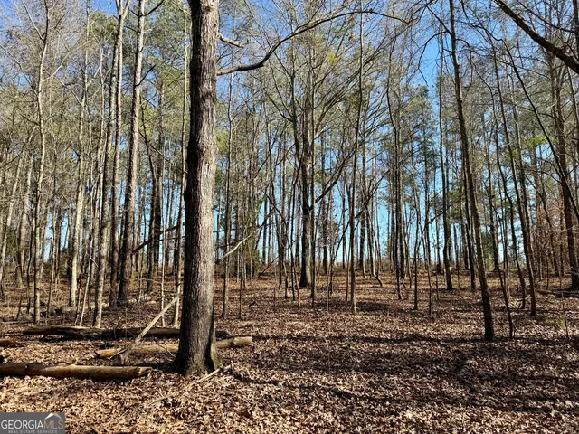 $1,032,000 | 0 Jenkins Farm Road, Byromville, GA 31007