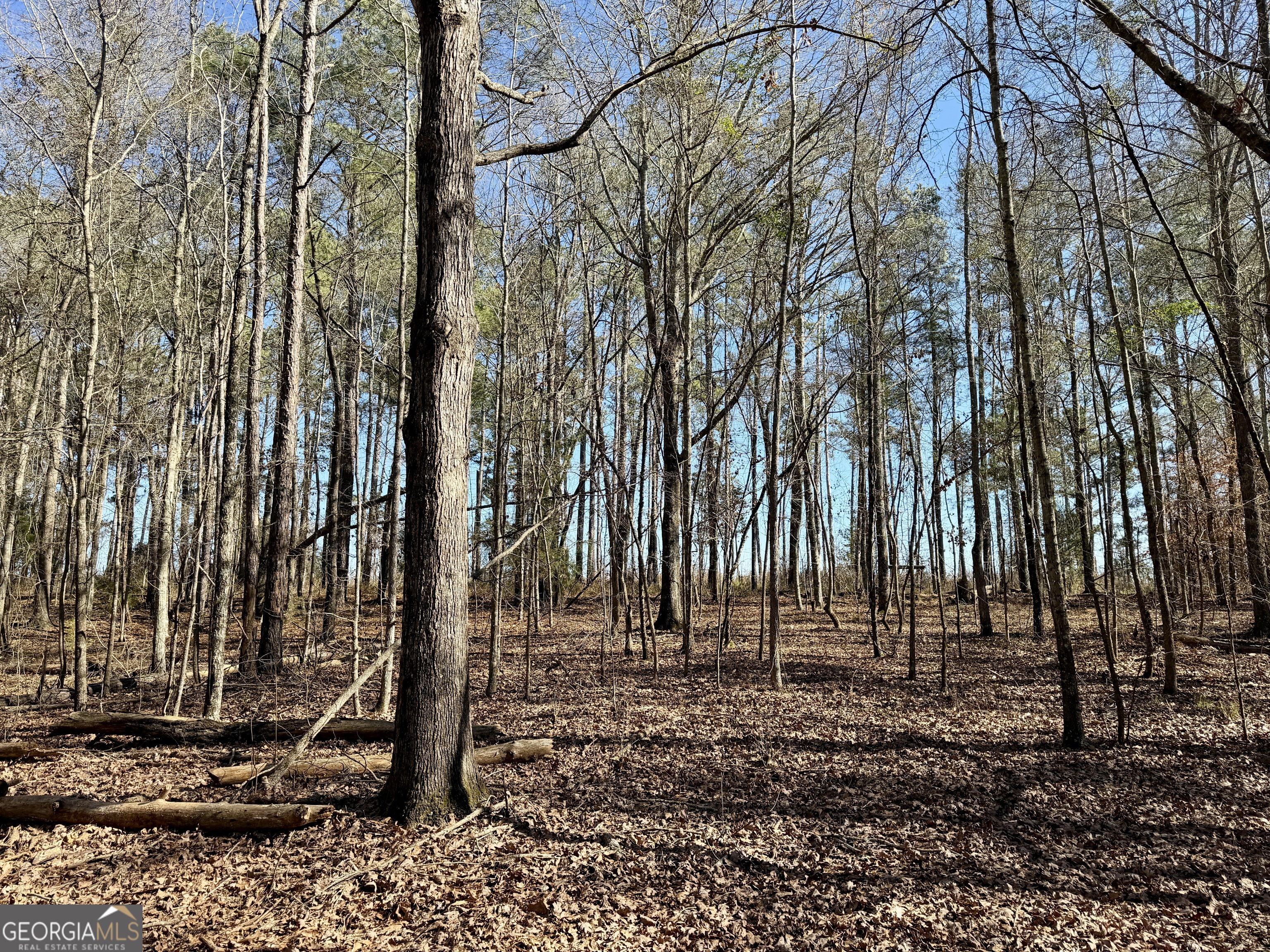 0 Jenkins Farm Road Byromville, GA 31007 - Photo 50 of 66