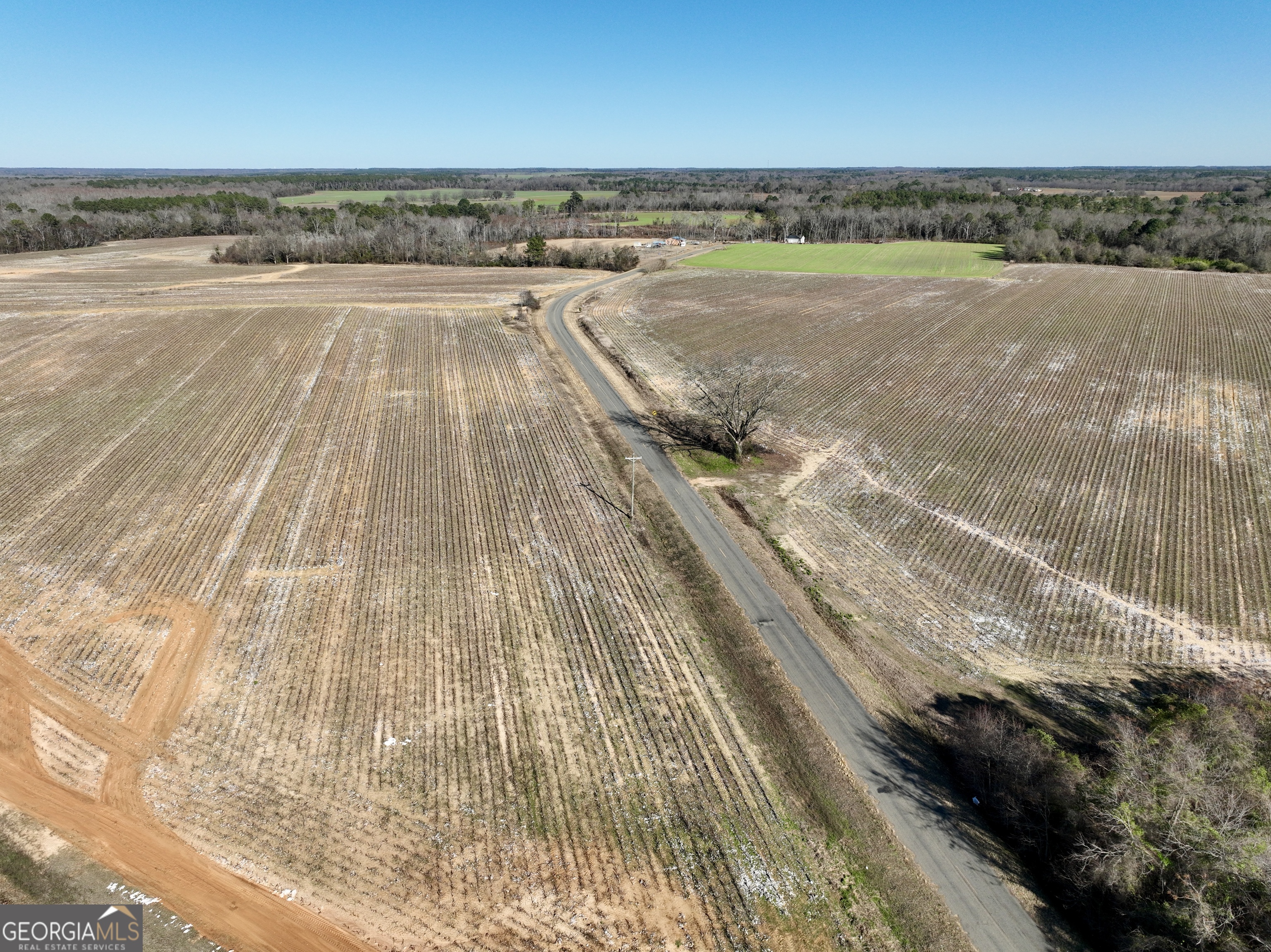 0 Jenkins Farm Road Byromville, GA 31007 - Photo 5 of 66