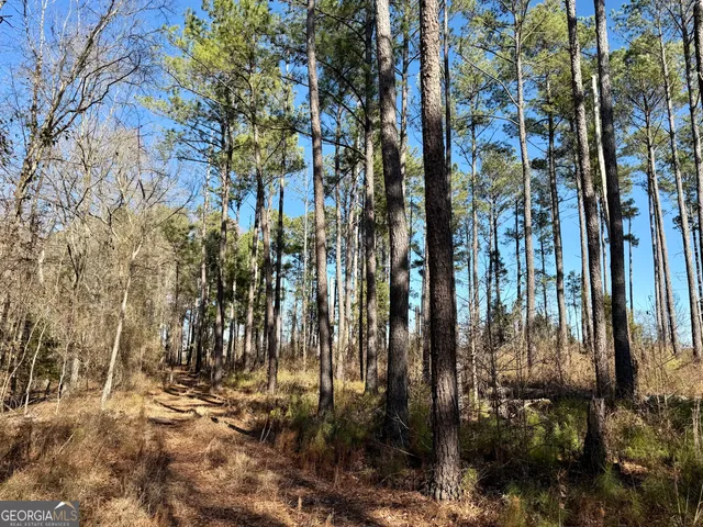 $1,032,000 | 0 Jenkins Farm Road, Byromville, GA 31007