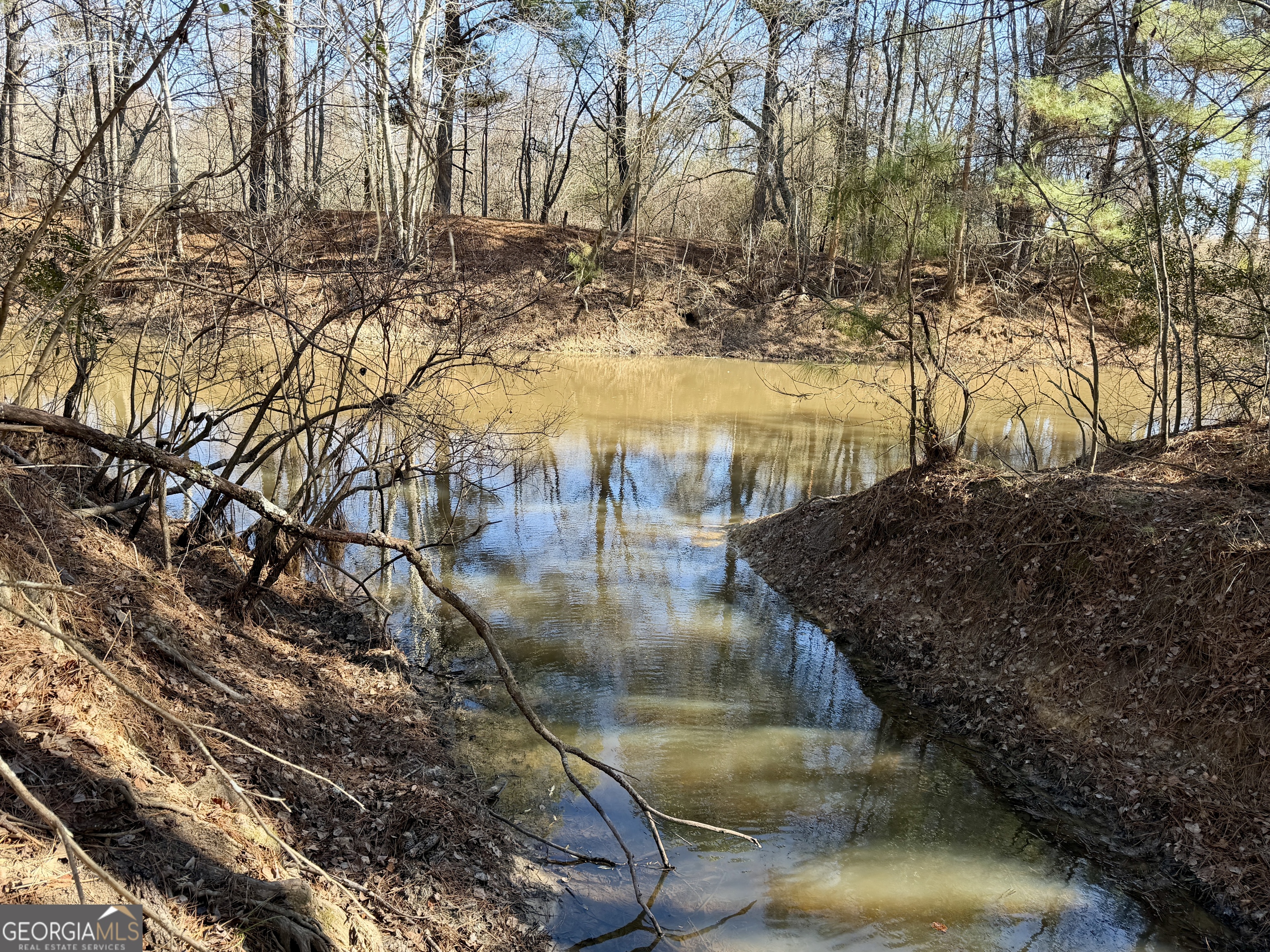 0 Jenkins Farm Road Byromville, GA 31007 - Photo 52 of 66