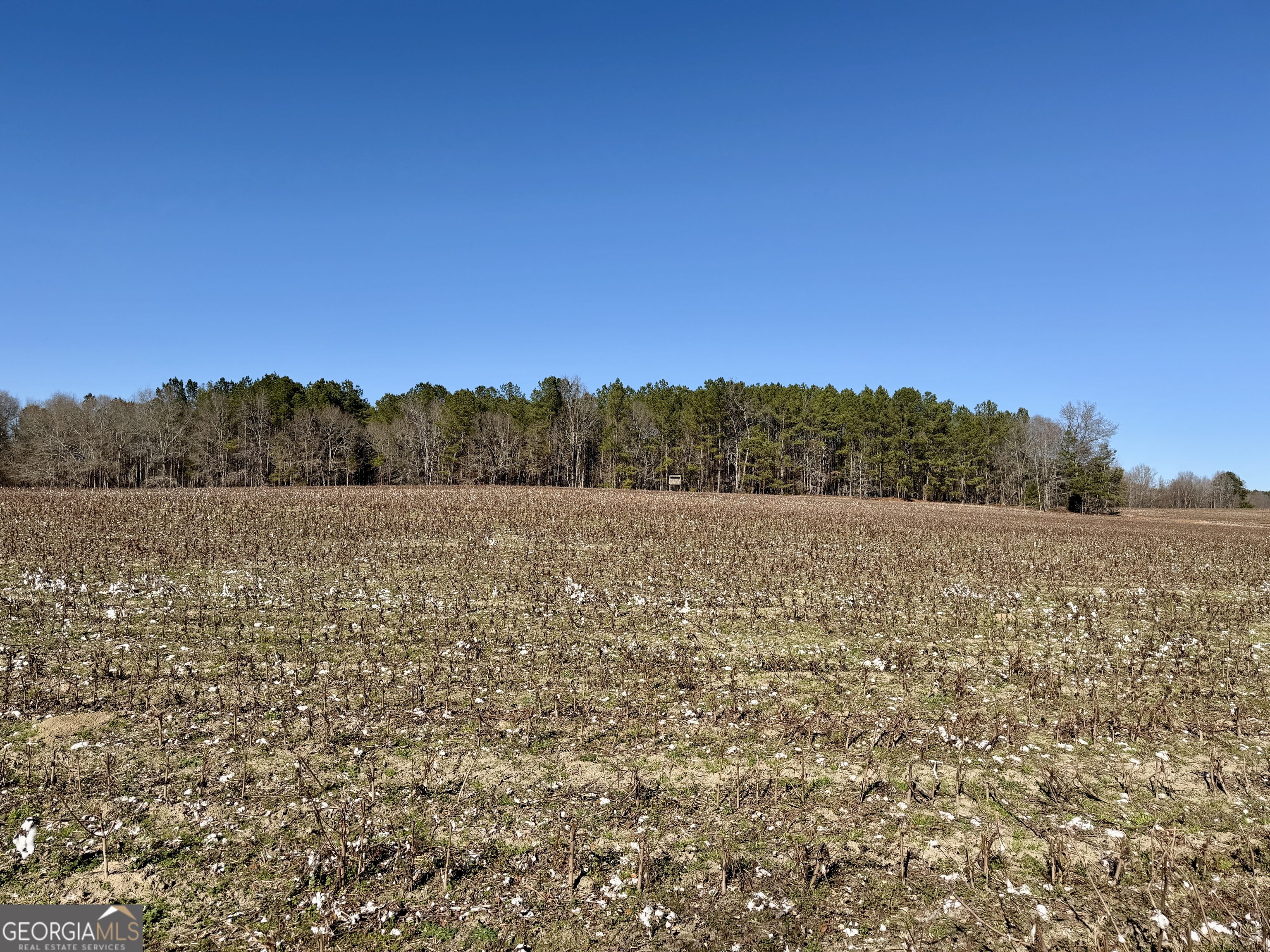 0 Jenkins Farm Road Byromville, GA 31007 - Photo 53 of 66