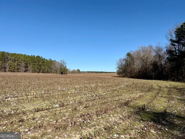 $1,032,000 | 0 Jenkins Farm Road, Byromville, GA 31007