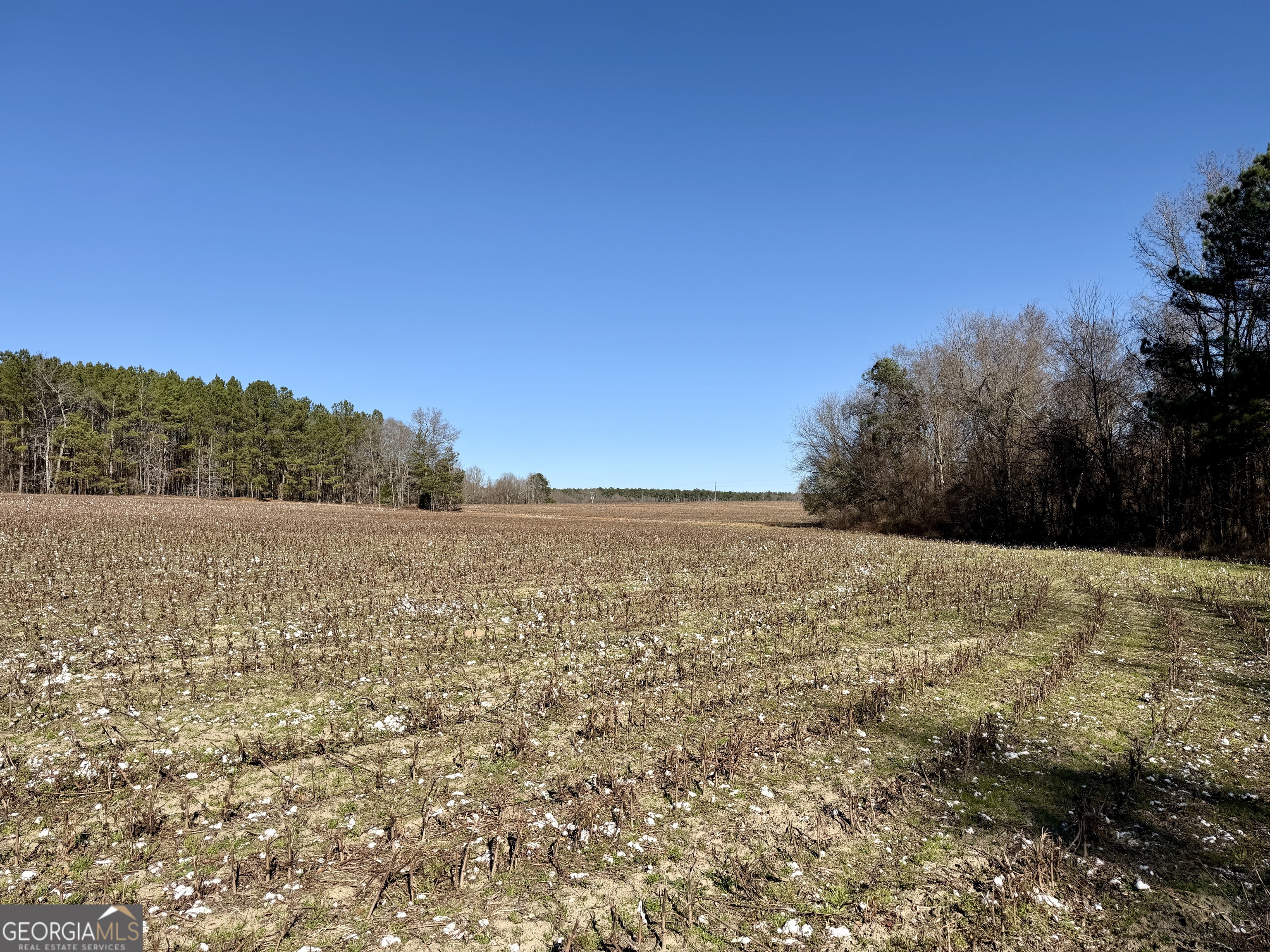 0 Jenkins Farm Road Byromville, GA 31007 - Photo 54 of 66