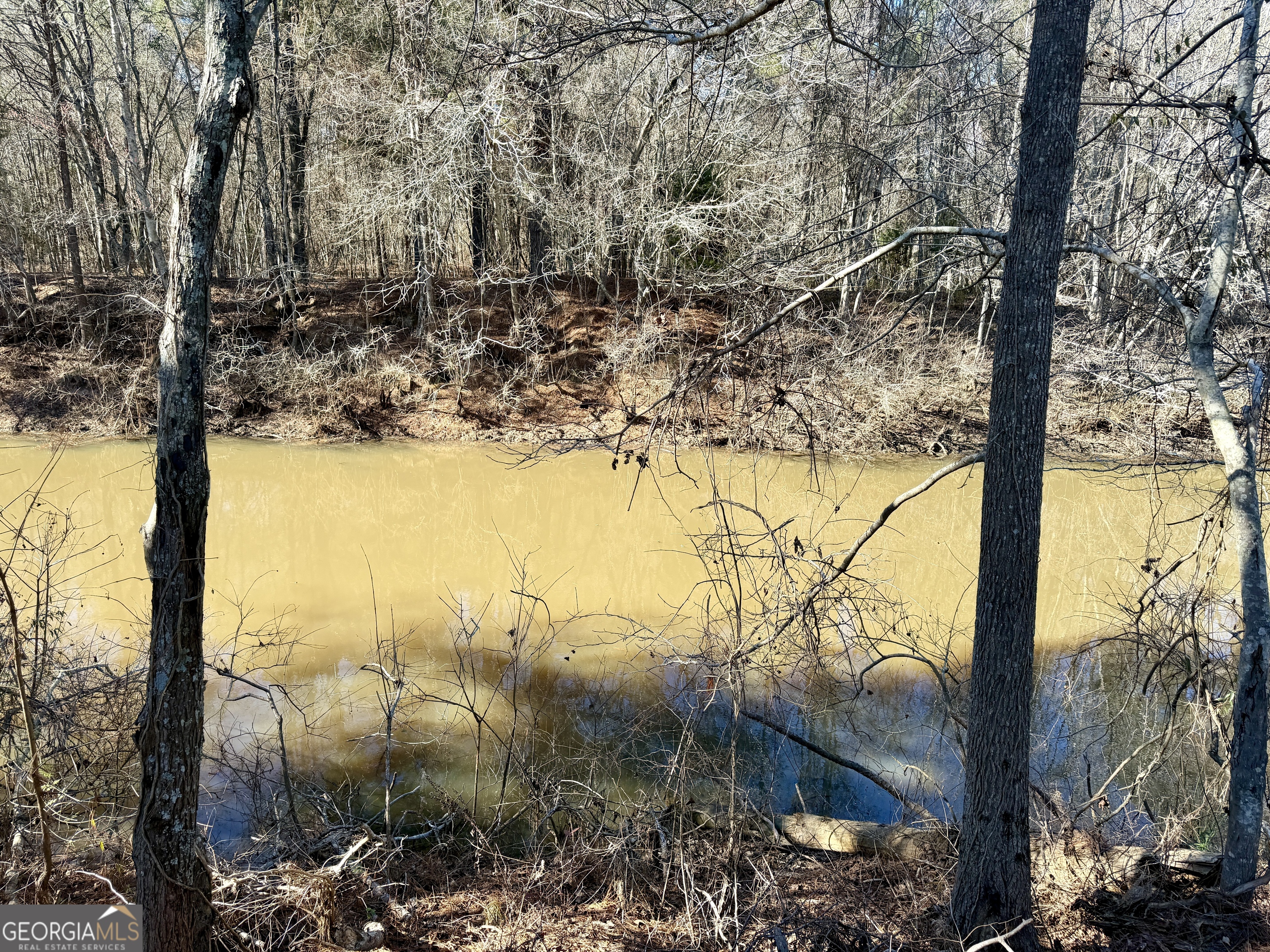 0 Jenkins Farm Road Byromville, GA 31007 - Photo 57 of 66