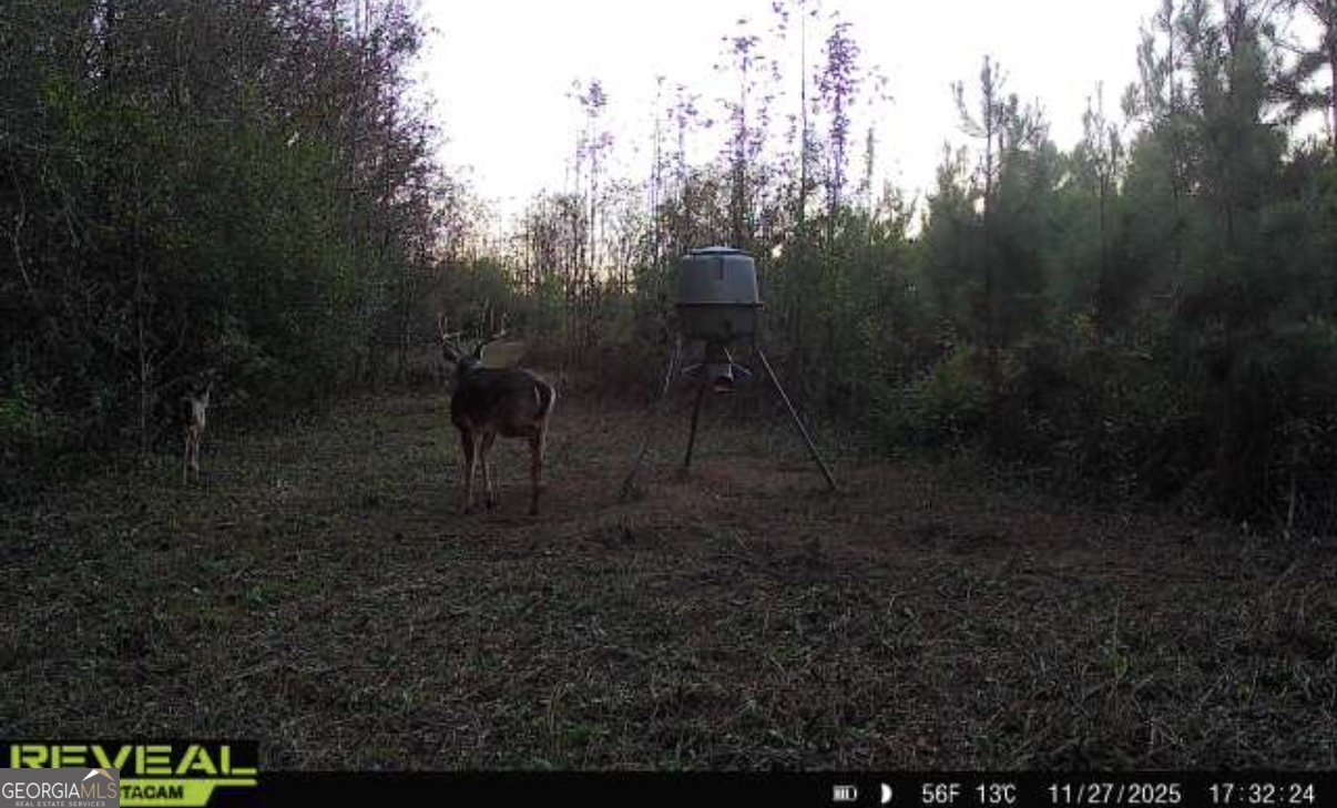 0 Jenkins Farm Road Byromville, GA 31007 - Photo 59 of 66