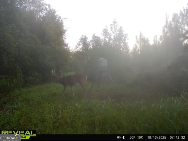 $1,032,000 | 0 Jenkins Farm Road, Byromville, GA 31007