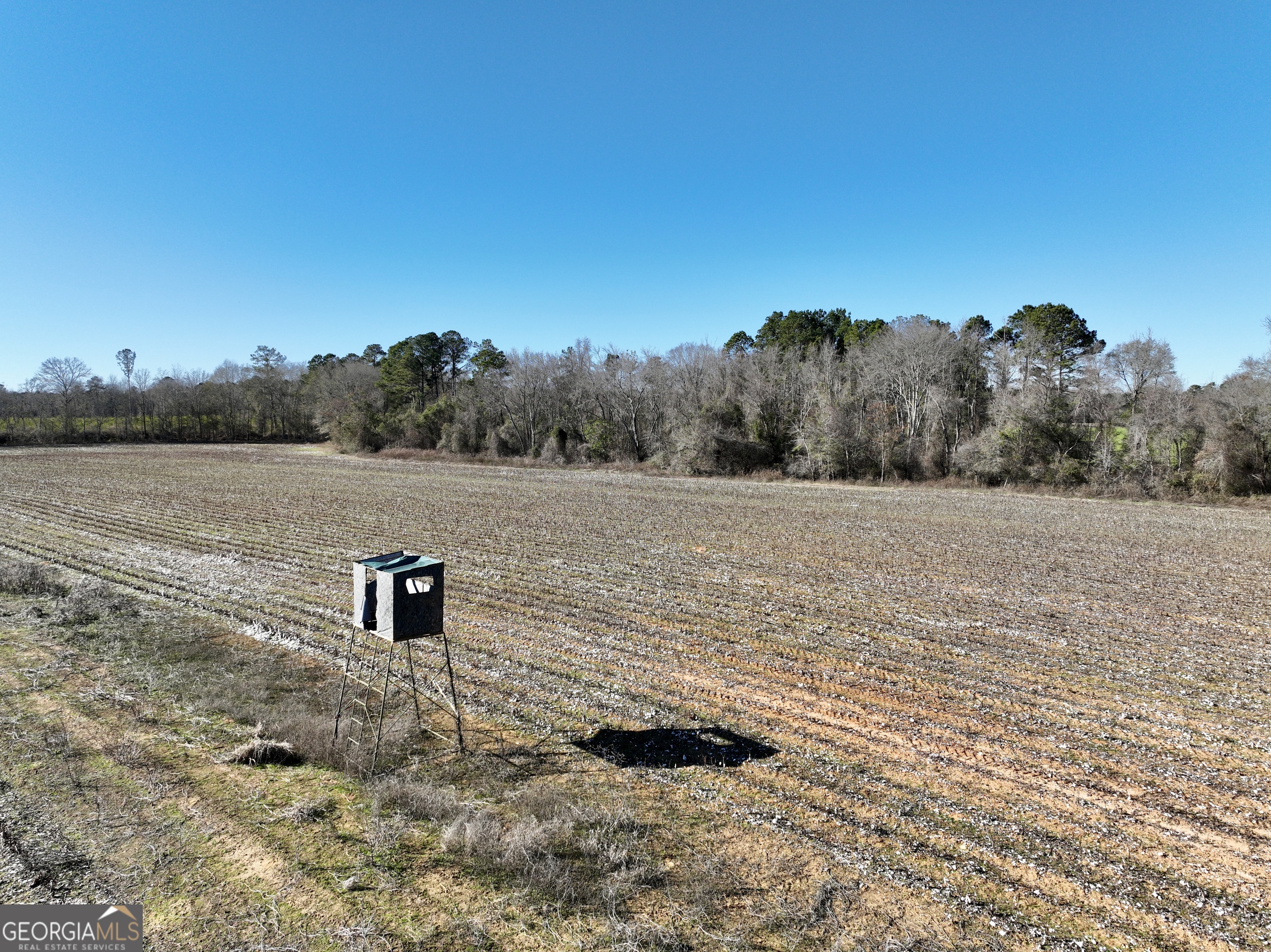 0 Jenkins Farm Road Byromville, GA 31007 - Photo 6 of 66