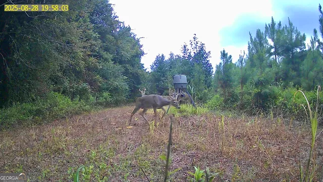 $1,032,000 | 0 Jenkins Farm Road, Byromville, GA 31007