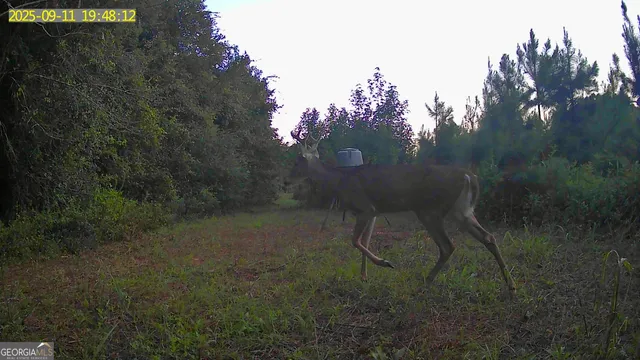 $1,032,000 | 0 Jenkins Farm Road, Byromville, GA 31007