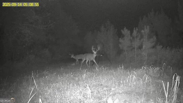 $1,032,000 | 0 Jenkins Farm Road, Byromville, GA 31007