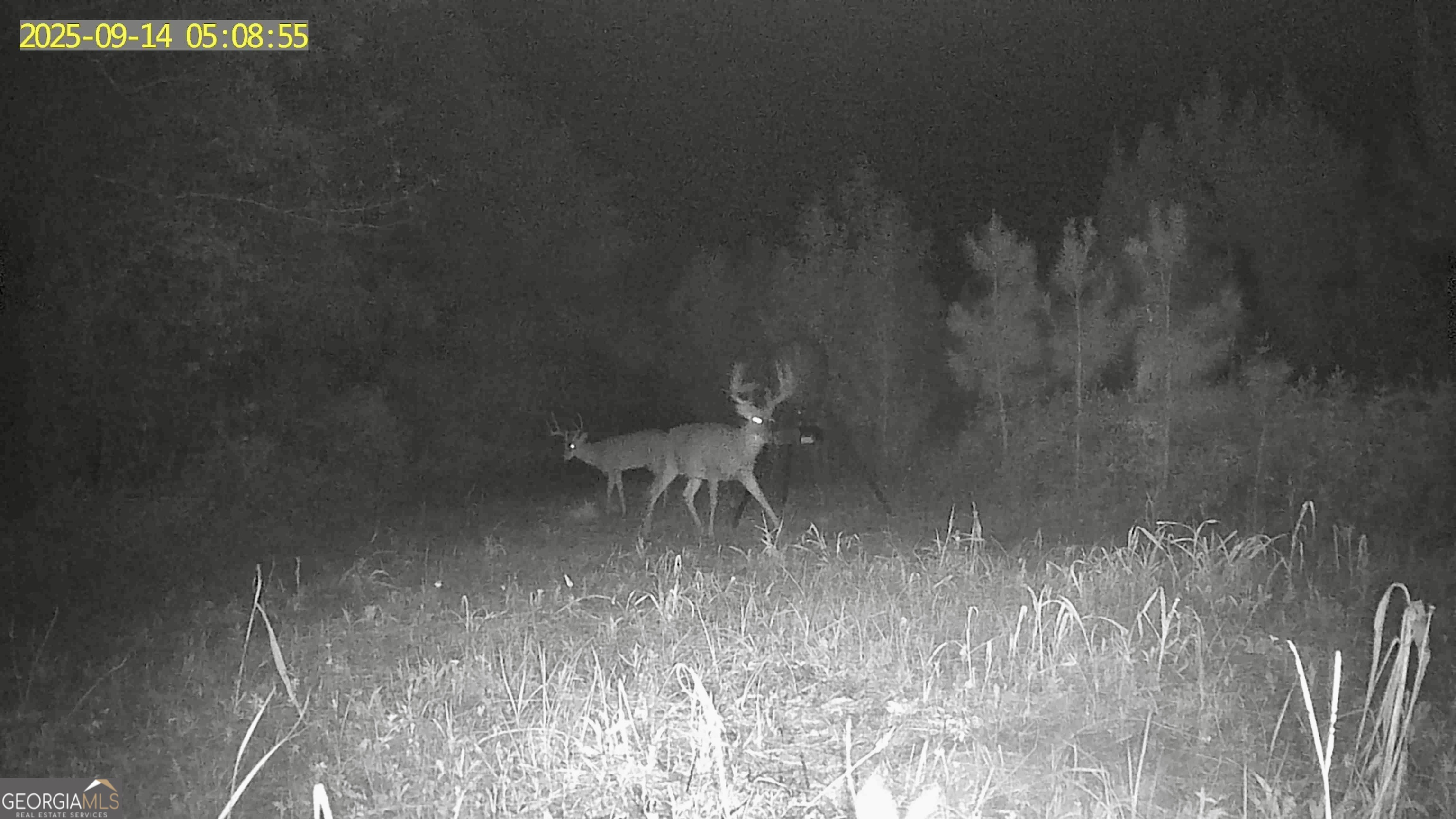 0 Jenkins Farm Road Byromville, GA 31007 - Photo 63 of 66