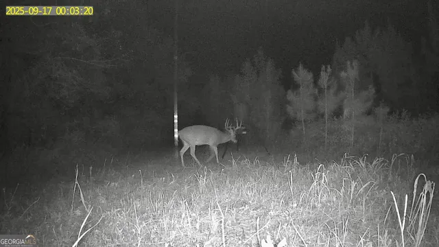 $1,032,000 | 0 Jenkins Farm Road, Byromville, GA 31007