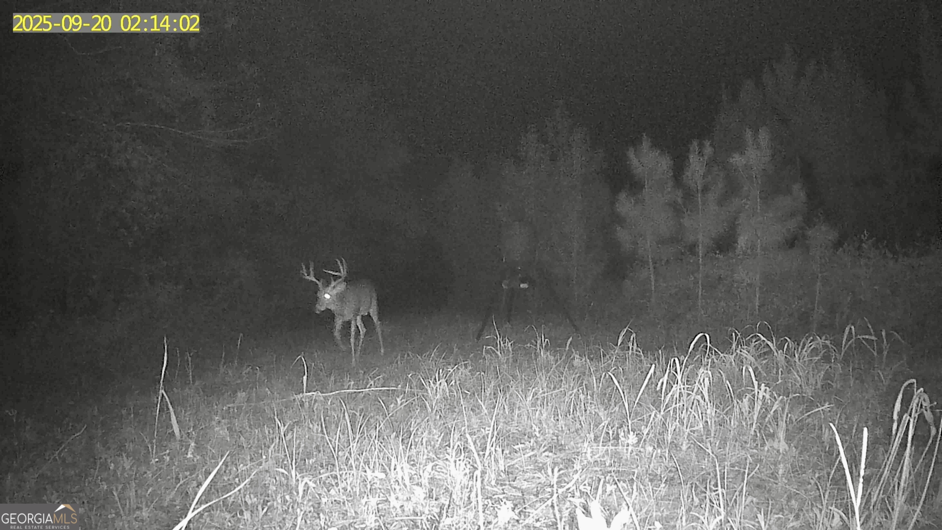 0 Jenkins Farm Road Byromville, GA 31007 - Photo 66 of 66