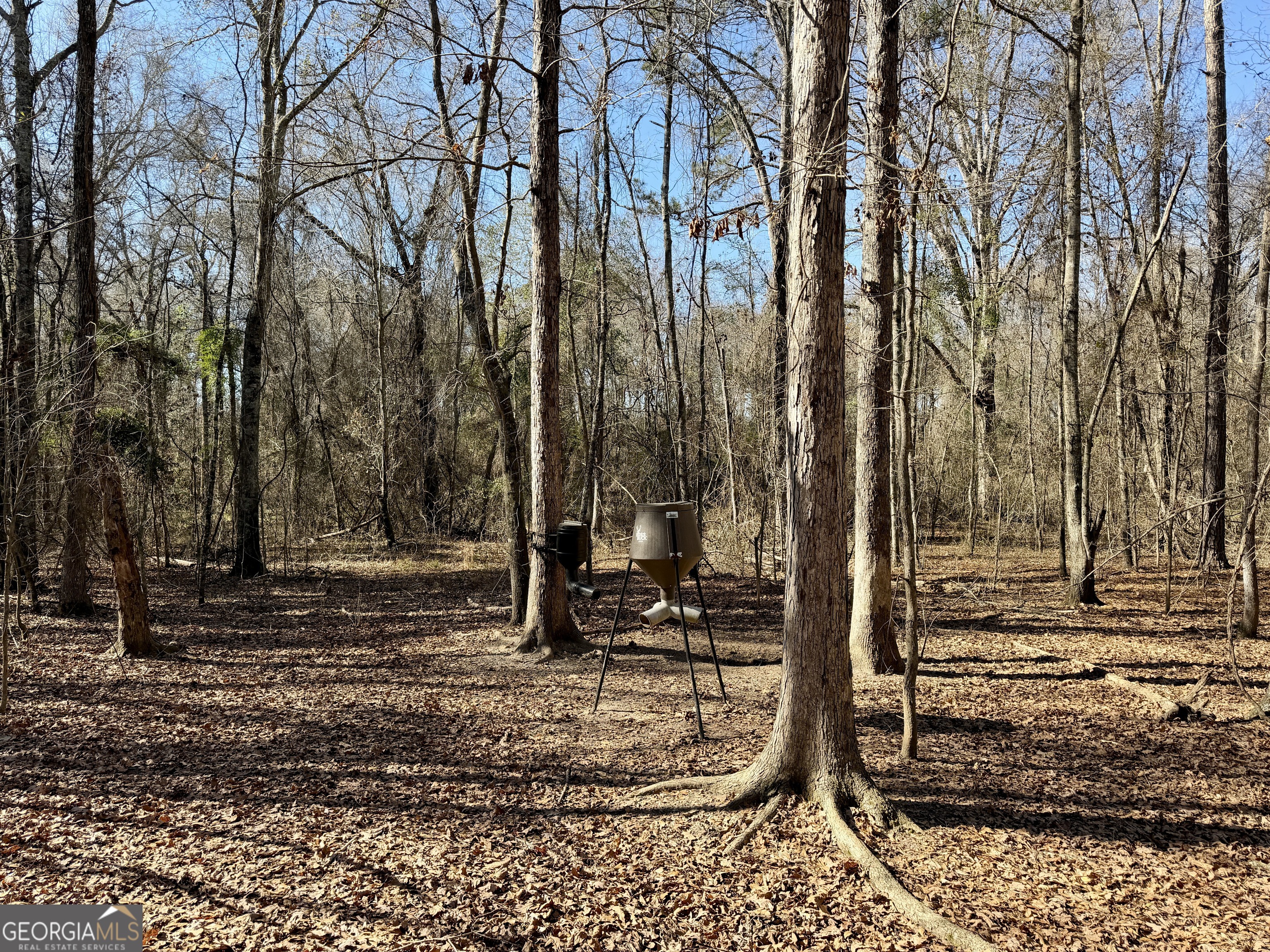 0 Jenkins Farm Road Byromville, GA 31007 - Photo 7 of 66