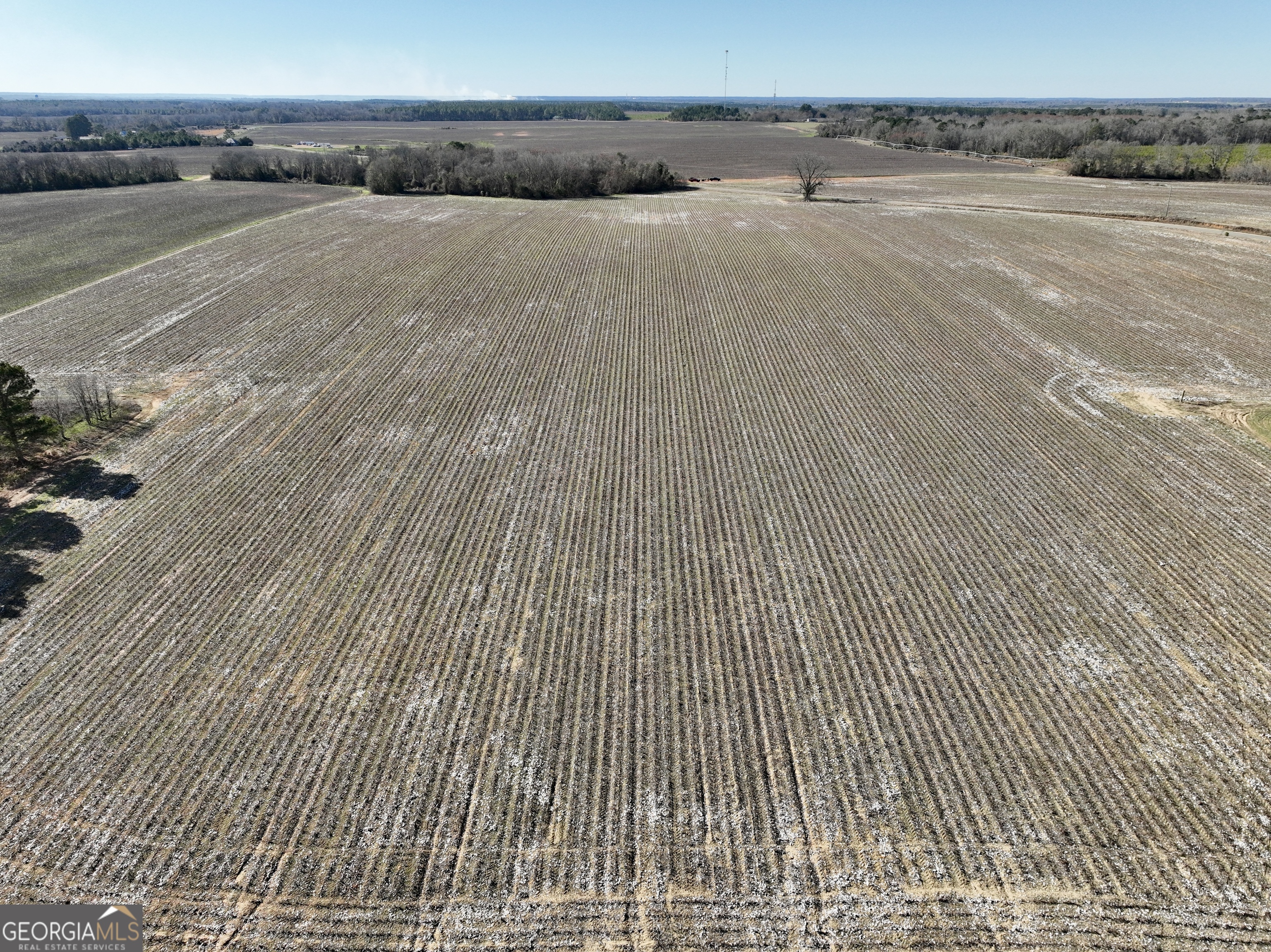 0 Jenkins Farm Road Byromville, GA 31007 - Photo 9 of 66