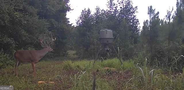 $1,032,000 | 0 Jenkins Farm Road, Byromville, GA 31007