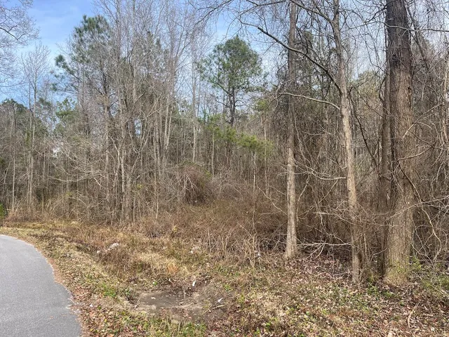 $96,000 | 1 Bee Drive, Walterboro, SC 29488