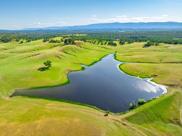 a view of an ocean and beach