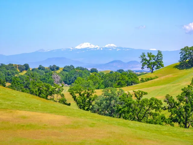 $2,375,000 | 15605 Johnson Road, Red Bluff, CA 96080