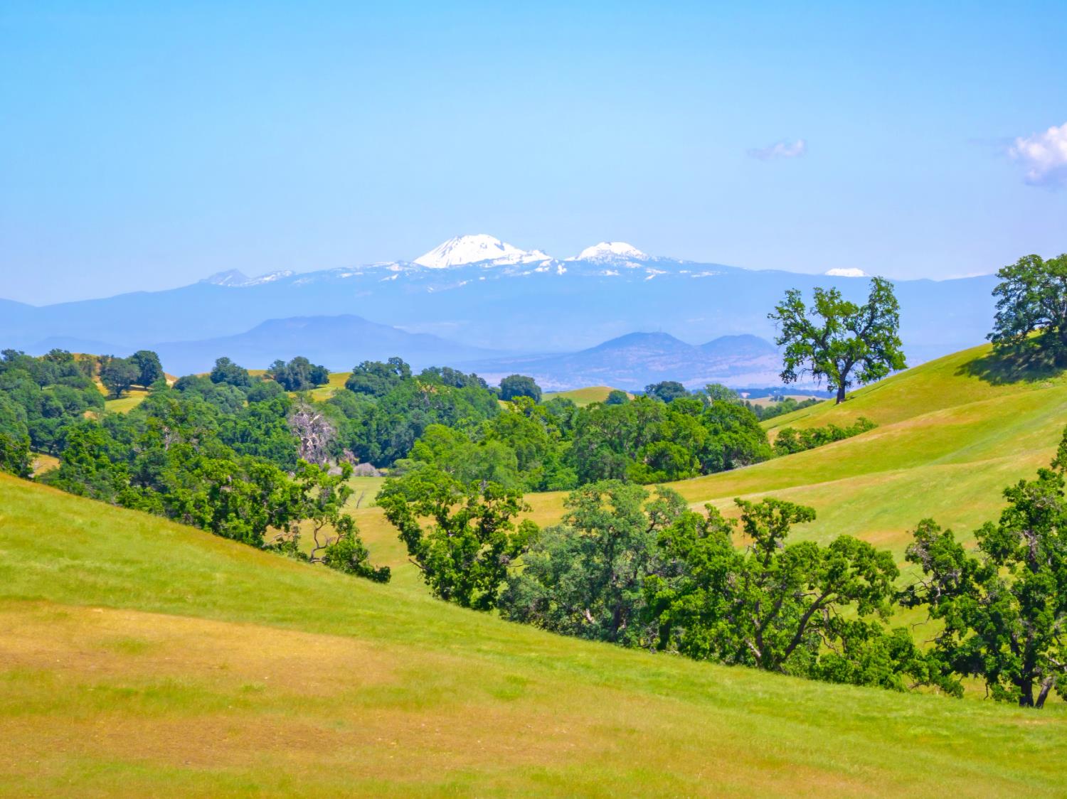 15605 Johnson Road Red Bluff, CA 96080 - Photo 74 of 88 a view of a lake with a mountain in the background