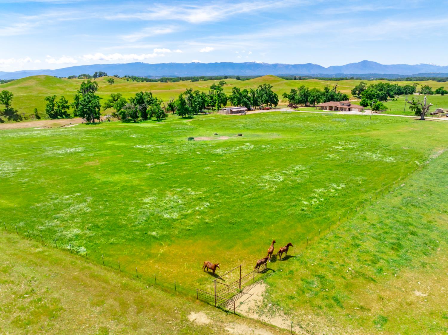 15605 Johnson Road Red Bluff, CA 96080 - Photo 79 of 88 a view of a lush green space with lots of green space