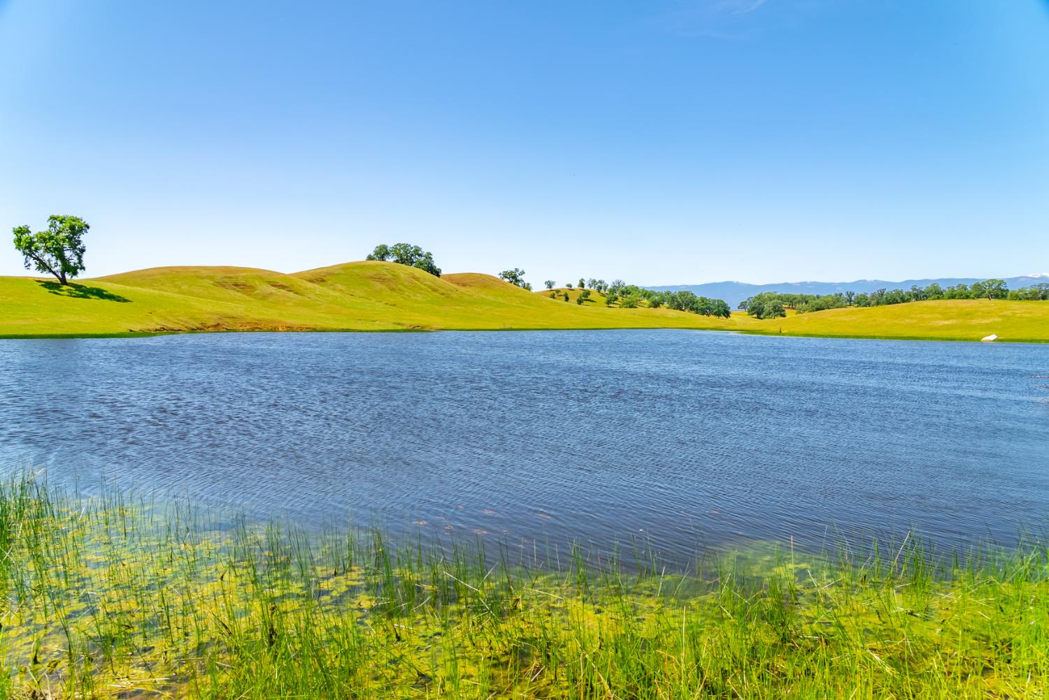 15605 Johnson Road Red Bluff, CA 96080 - Photo 85 of 88