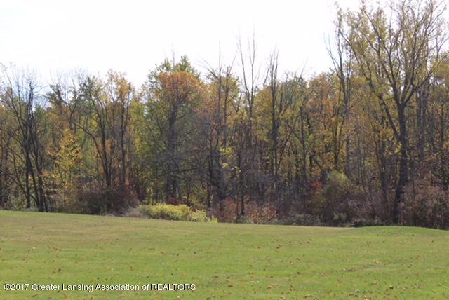 4233 Lansing Road Perry, MI 48872 - Photo 4 of 6 IMG_0181