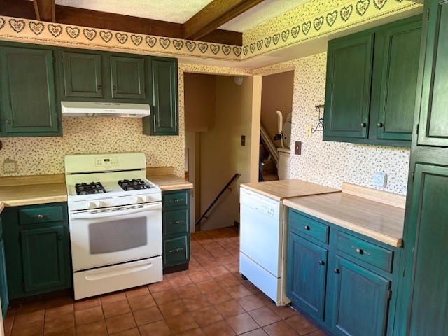 7503 Windsor Avenue Spring Grove, IL 60081 - Photo 6 of 14 a kitchen with a stove sink and cabinets