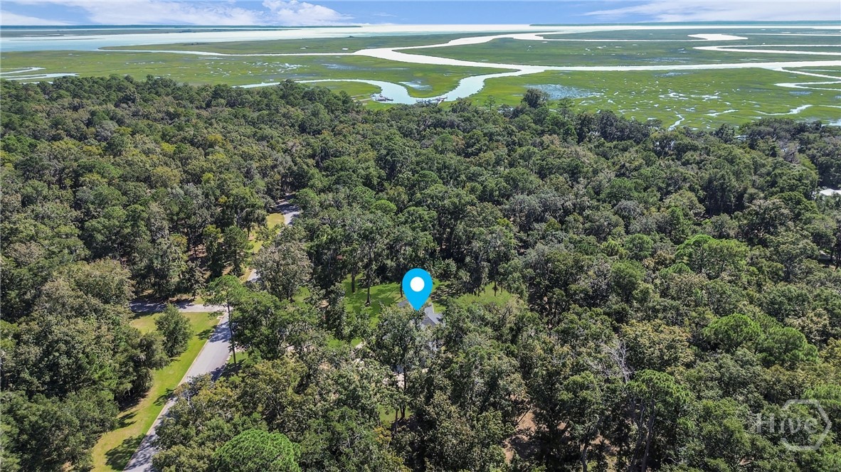 454 Spartina Way Midway, GA 31320 - Photo 43 of 48