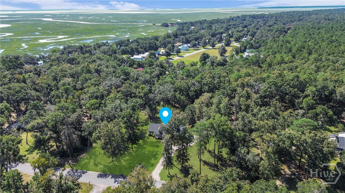 454 Spartina Way Midway, GA 31320 - Photo 44 of 48