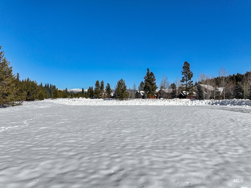 40 Moonflower Court, Unit 103 McCall, ID 83638 - Photo 13 of 18