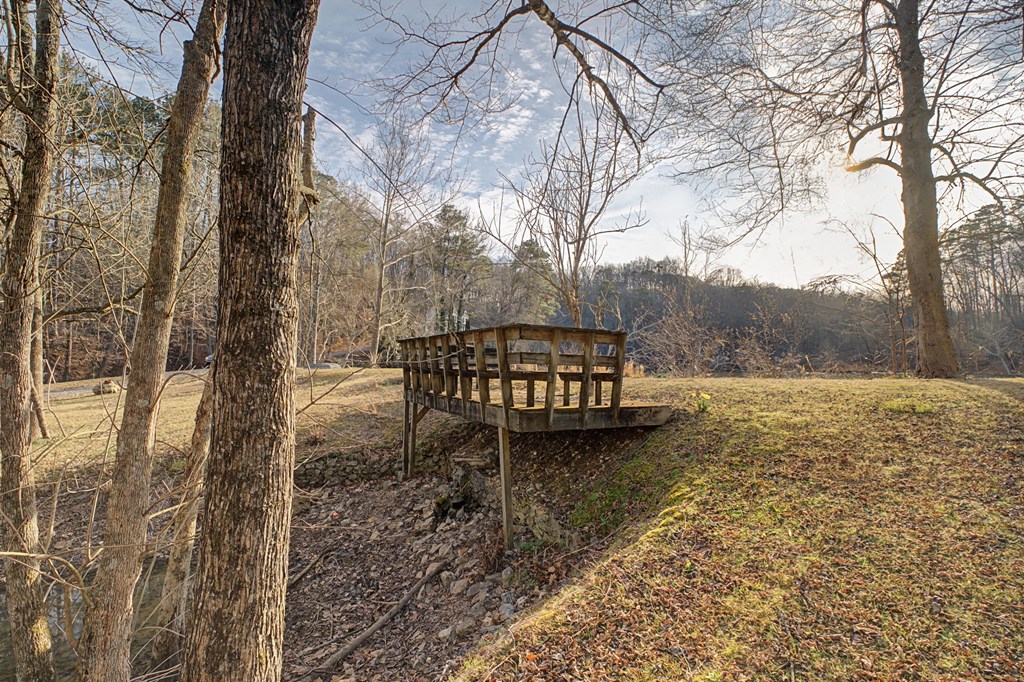 253 Wheeler Dam Road Cohutta, GA 30710 - Photo 43 of 54 Gallery Image 43