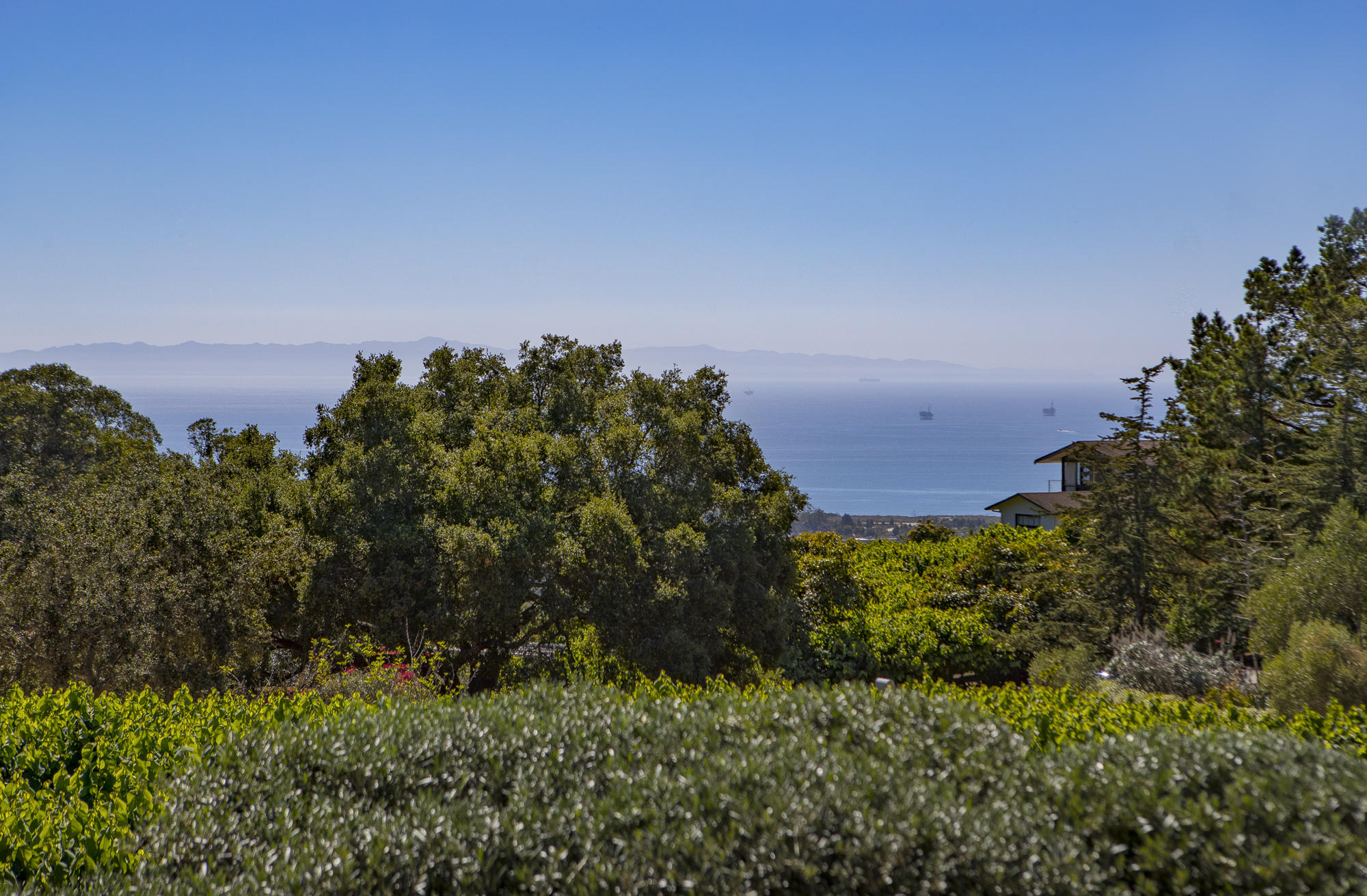 7410 Shepard Mesa Road Carpinteria, CA 93013 - Photo 16 of 32 Ocean Views