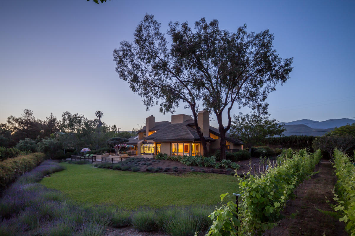 7410 Shepard Mesa Road Carpinteria, CA 93013 - Photo 3 of 32 Syrah Vineyard and Cherimoya Orchard