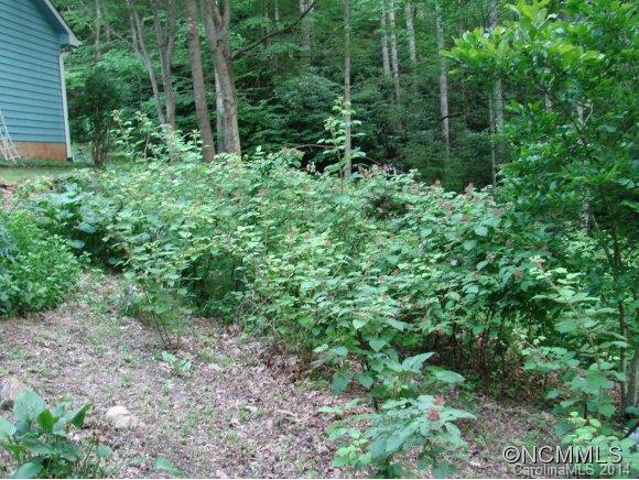 179 Saw Branch Road Candler, NC 28715 - Photo 12 of 17 Gallery Image 12