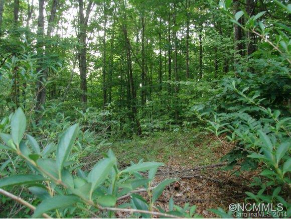 179 Saw Branch Road Candler, NC 28715 - Photo 13 of 17 Gallery Image 13