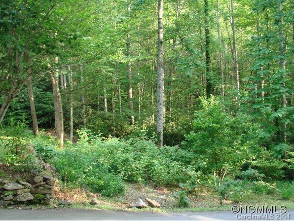 179 Saw Branch Road Candler, NC 28715 - Photo 16 of 17 Gallery Image 16