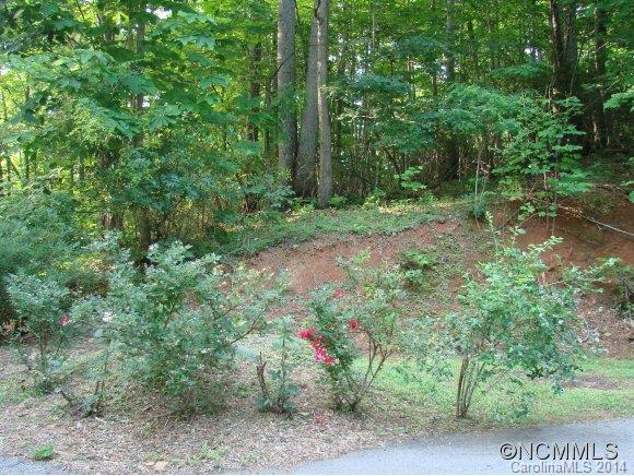 179 Saw Branch Road Candler, NC 28715 - Photo 17 of 17 Gallery Image 17