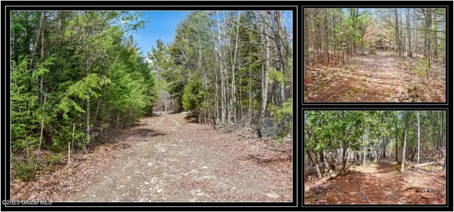 $92,500 | L11 Mountain Meadows Road, Adirondack, NY 12808