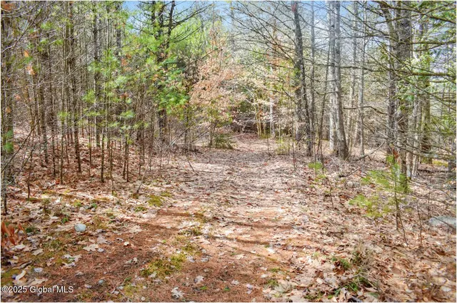 $92,500 | L11 Mountain Meadows Road, Adirondack, NY 12808