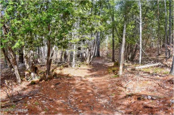 $92,500 | L11 Mountain Meadows Road, Adirondack, NY 12808