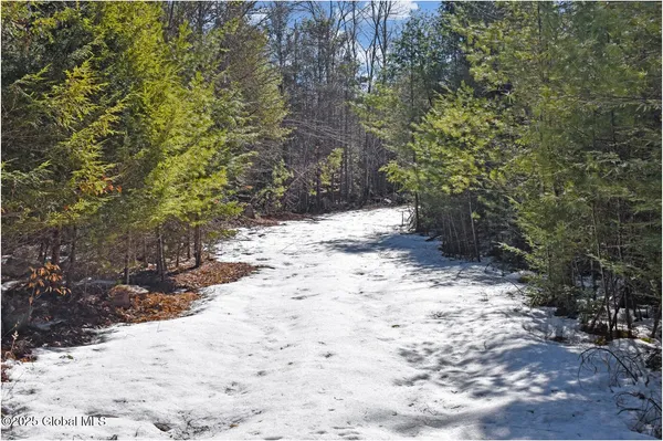 $92,500 | L11 Mountain Meadows Road, Adirondack, NY 12808