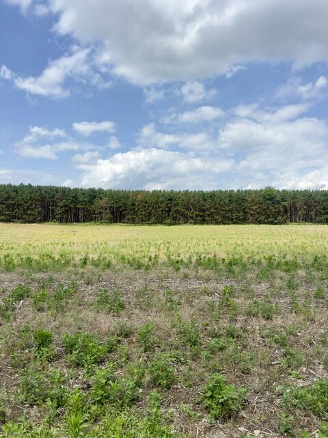 0 Seymour Road, Unit E Grass Lake, MI 49240 - Photo 2 of 14 IMG_7572