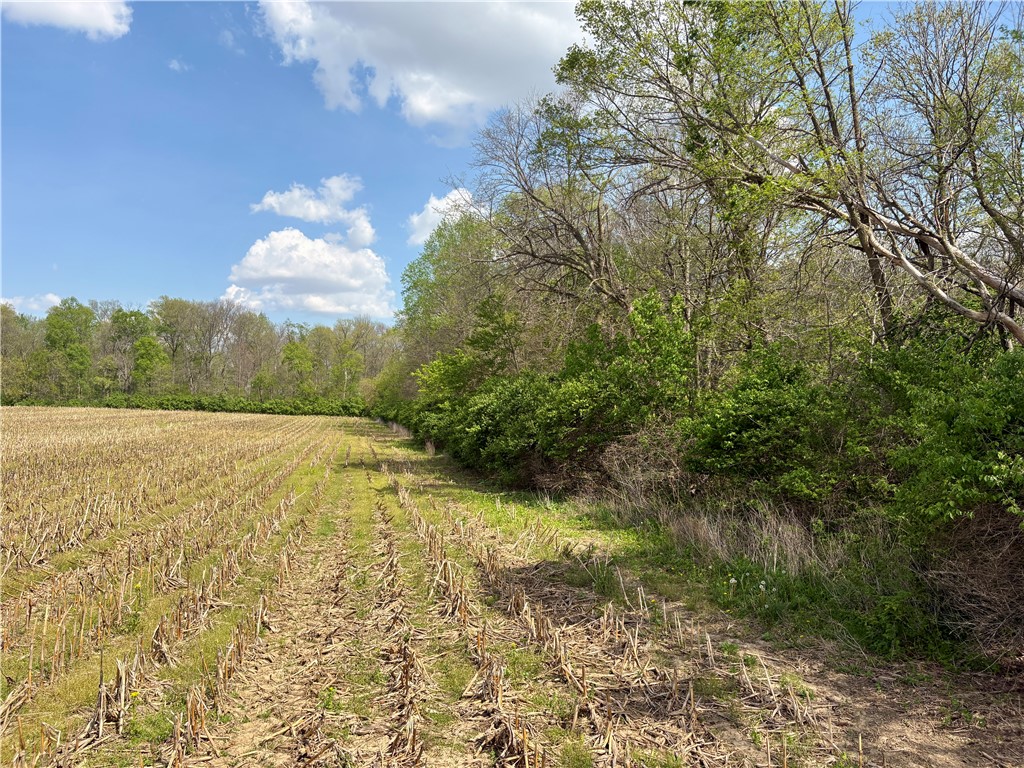Lot 2 Tipp Elizabeth Road New Carlisle, OH 45344 - Photo 9 of 14